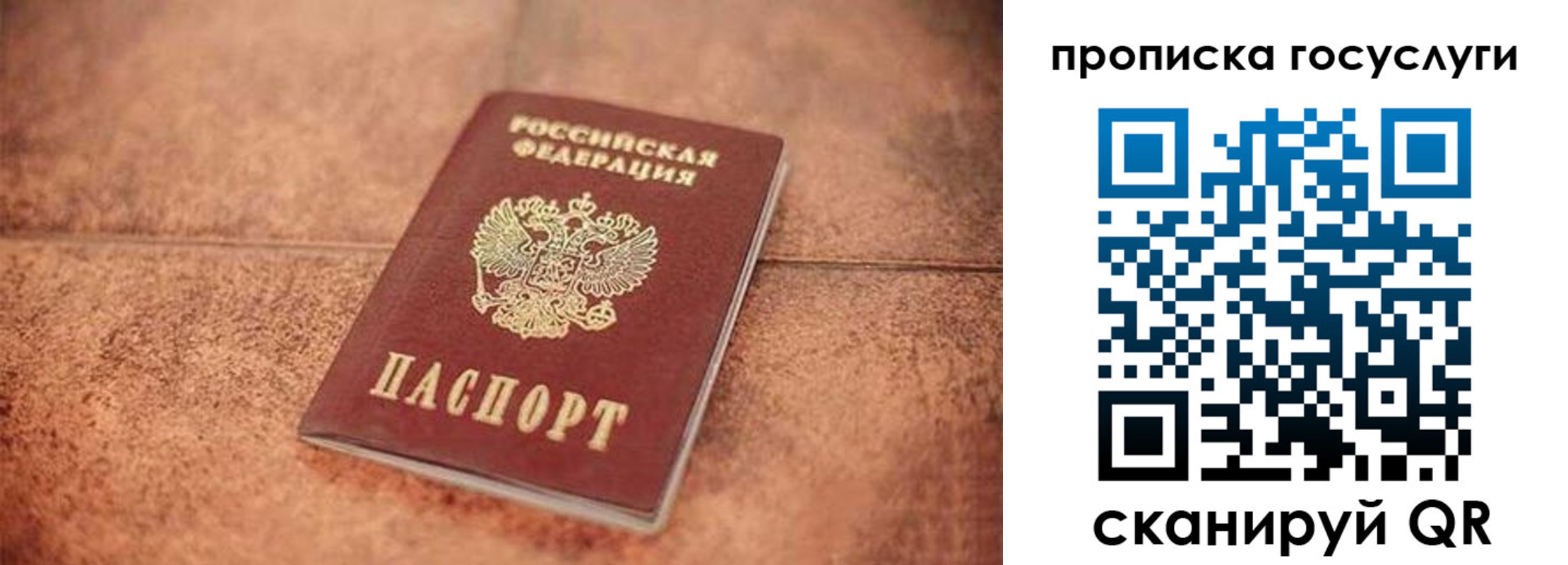 прописка законно в Нелидово
